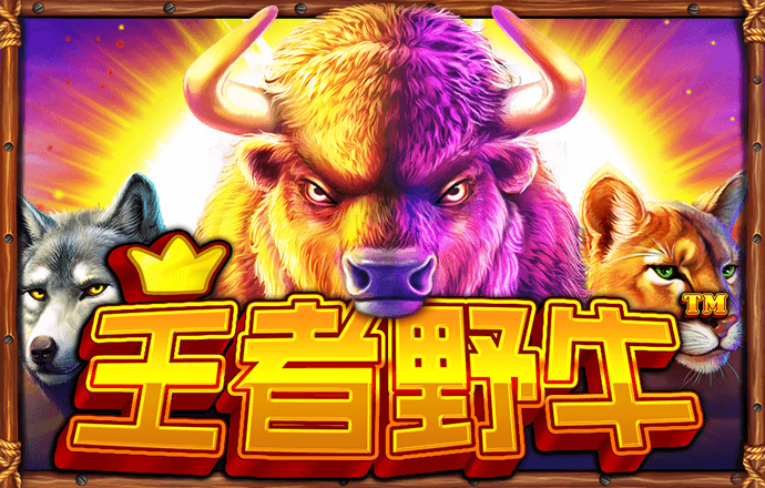 4G娱乐下载官方正版