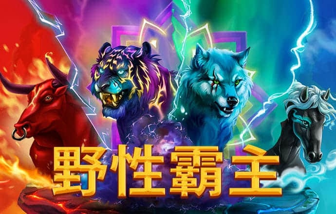 kok中欧体育是干嘛的